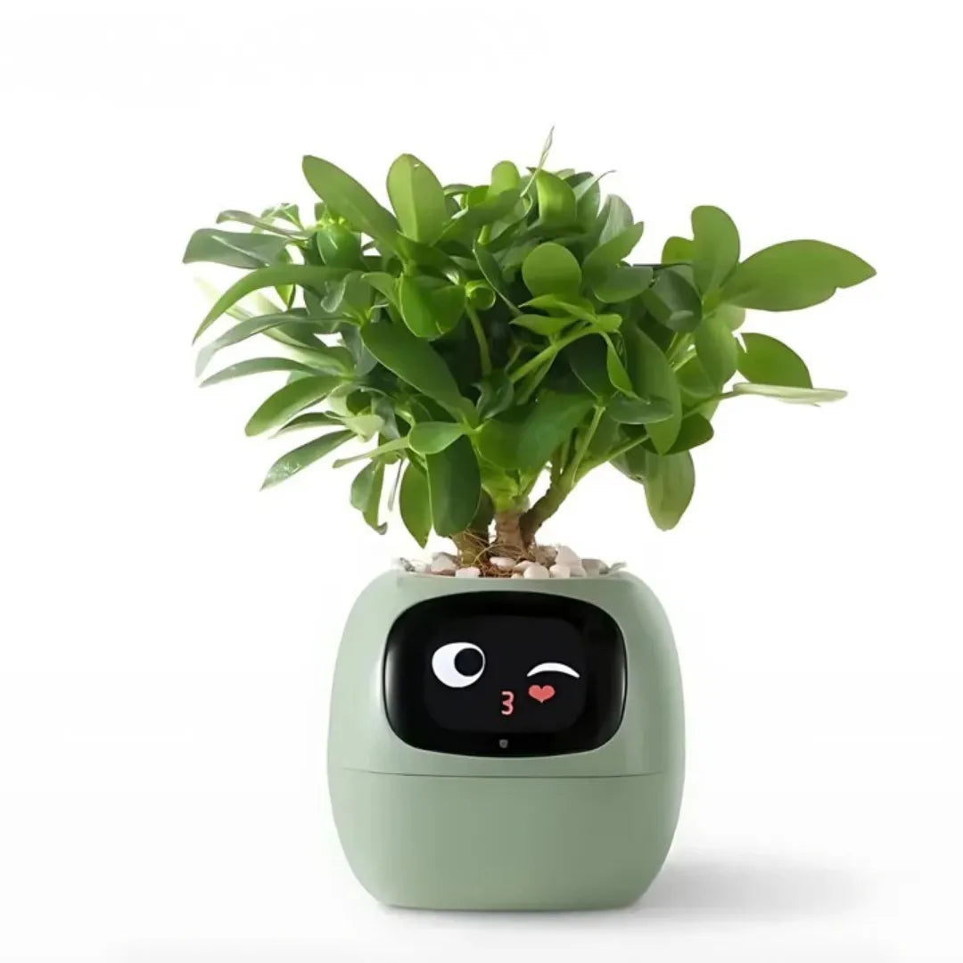 Ivy® - Your Personal Smart Planter