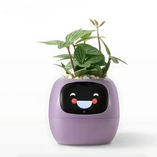 Ivy® - Your Personal Smart Planter