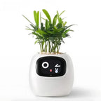 Ivy® - Your Personal Smart Planter
